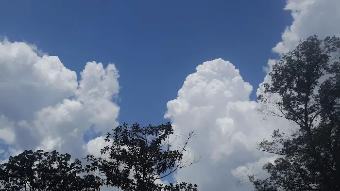 Barron Mobile Home Parks Picture 4