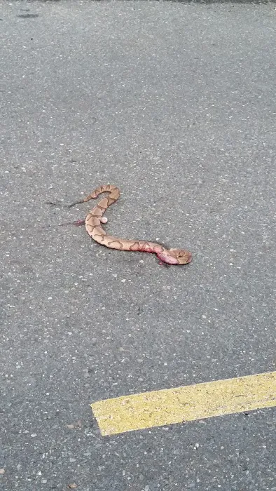 Barron Mobile Home Parks Picture 2