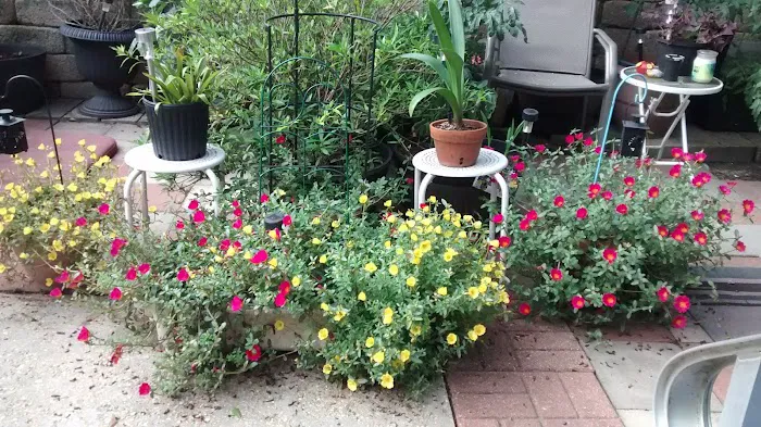 Barron Mobile Home Parks Picture 6