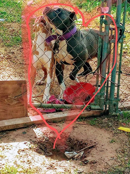 Dwaynes Mobile Park Picture 1