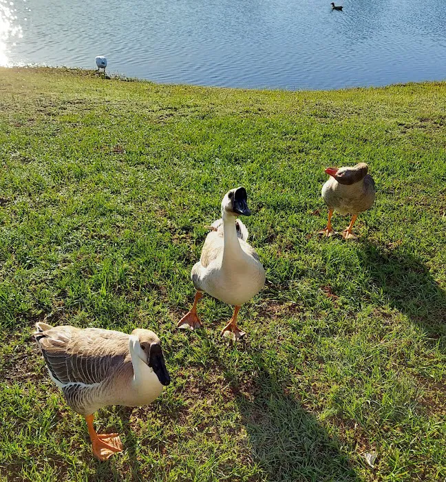 Thompson Lake RV Resort Picture 9