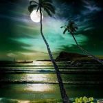 Bullock's Mobile Home Park