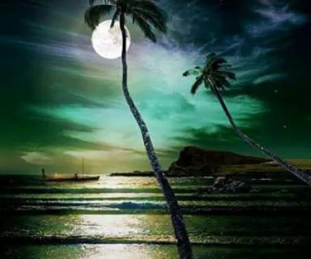 Bullock's Mobile Home Park