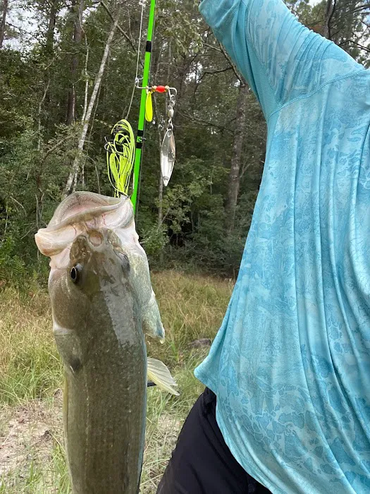 Silsbee RV Village Picture 3