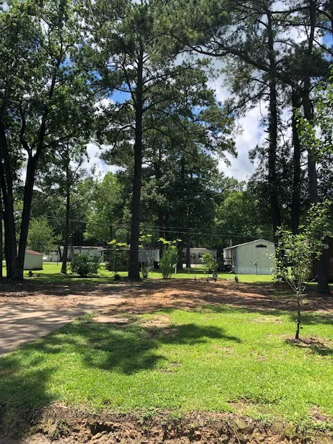 Sugar Pines RV & Mobile Home Park Picture 5