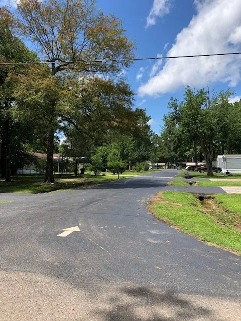 Sugar Pines RV & Mobile Home Park Picture 4