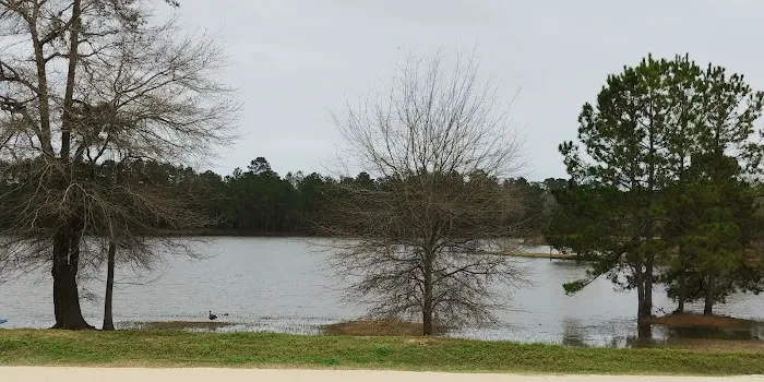 Paradise RV Resort Picture 4