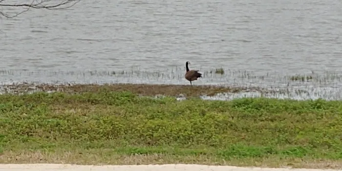 Paradise RV Resort Picture 8