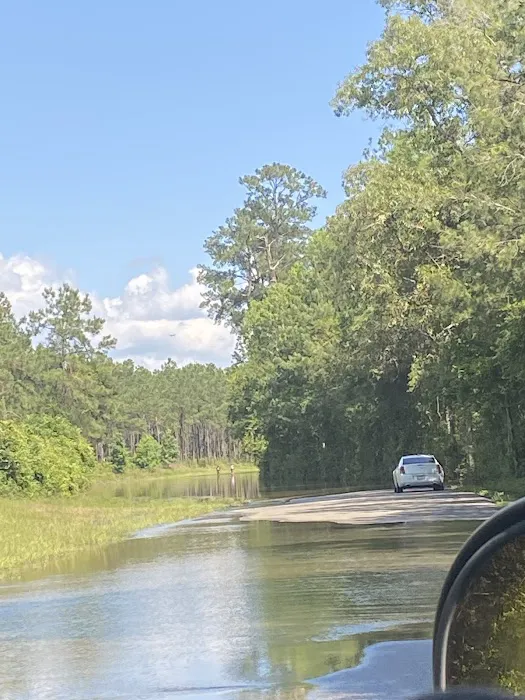 Big Thicket RV Park Picture 2