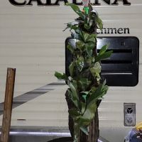 Kountze RV Park ico