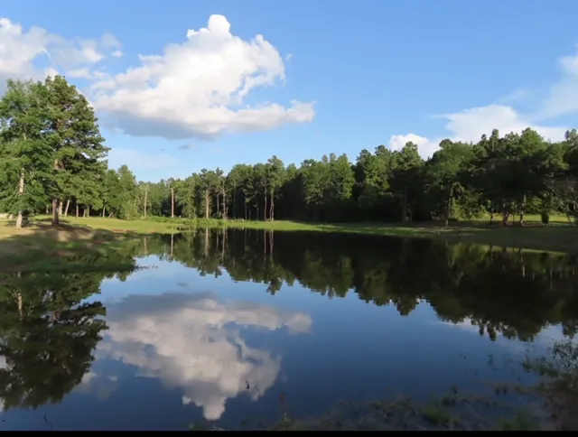 Magnolia Springs RV Park Picture 2
