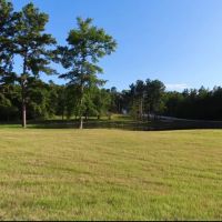 Magnolia Springs RV Park ico