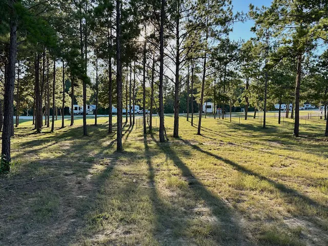 Magnolia Springs RV Park Picture 5