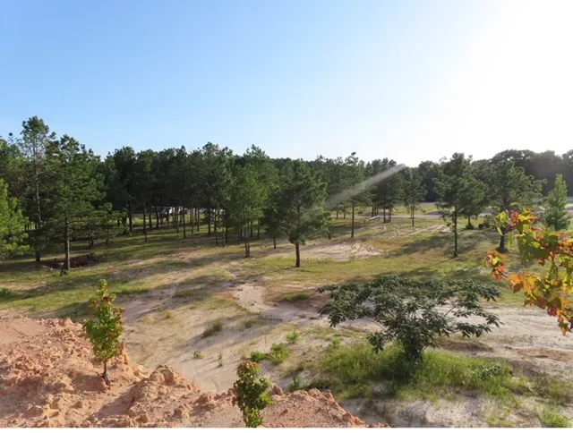 Magnolia Springs RV Park Picture 8