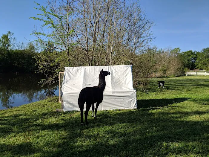 Lakeview RV Park Picture 4