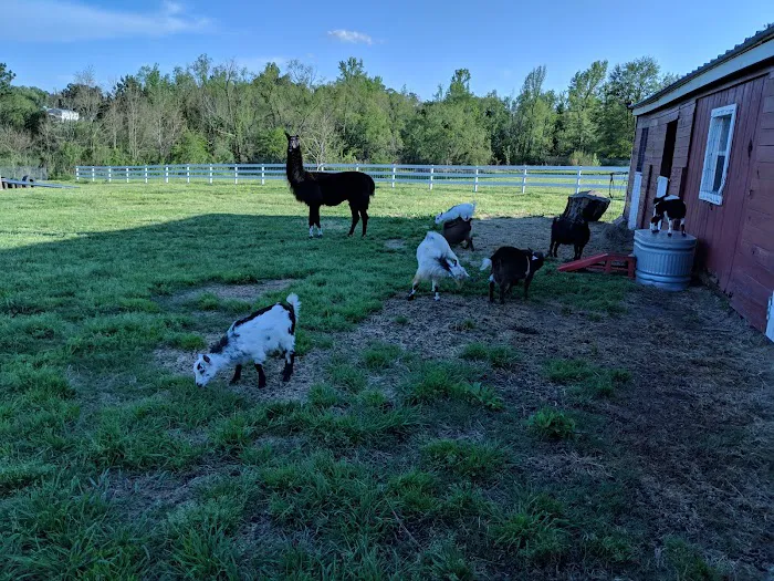 Lakeview RV Park Picture 7