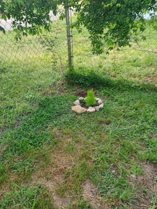 Lone Star Ranch Mobile Home Park Picture 6