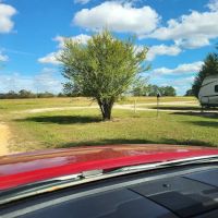 Pine Grove Park ico