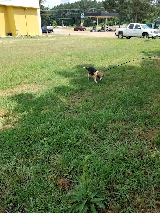 Bobcat Crossing RV Community Picture 8