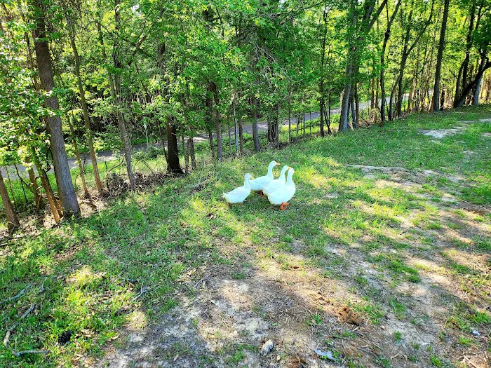 Marshall RV Park Picture 8