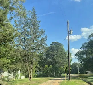 Marshall Woods RV Park Picture 6