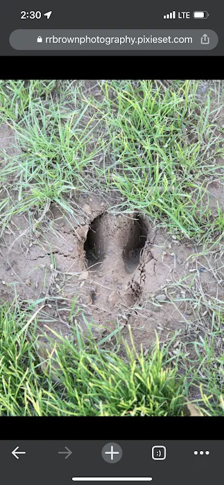 Nature's Design RV Park Picture 7
