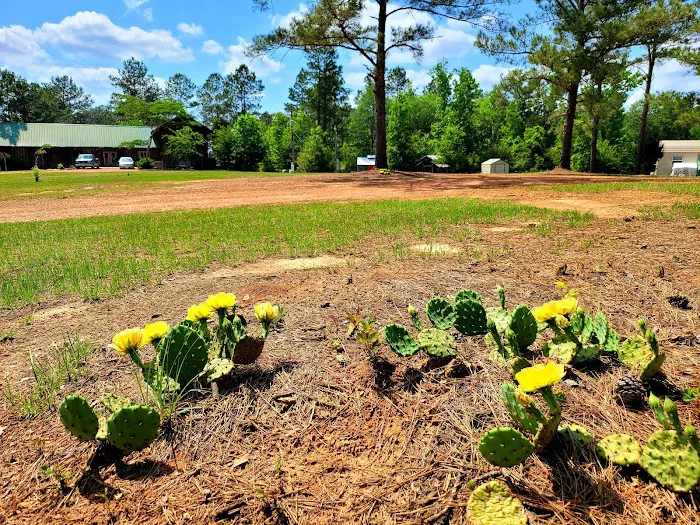 Timberline RV Park Picture 2