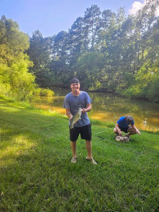 Timberline RV Park Picture 7