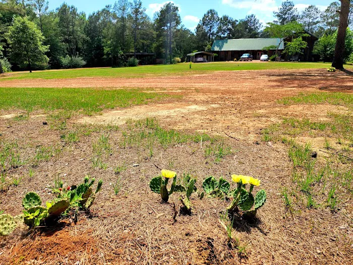 Timberline RV Park Picture 9