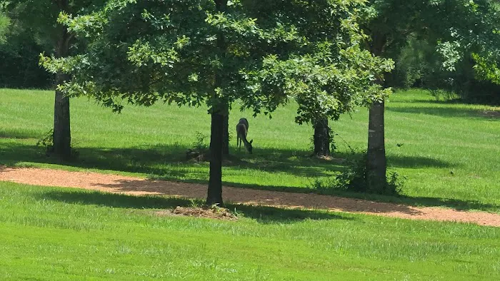 Timberline RV Park Picture 5