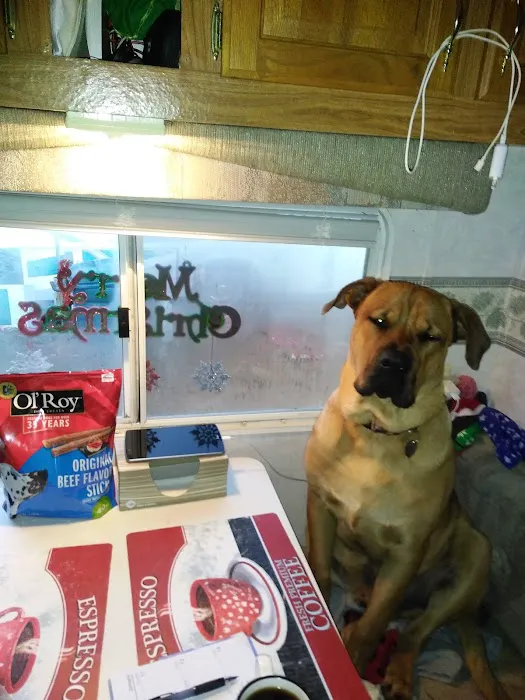 Country Pines RV Park Picture 3