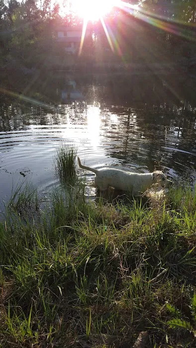 Country Pines RV Park Picture 5