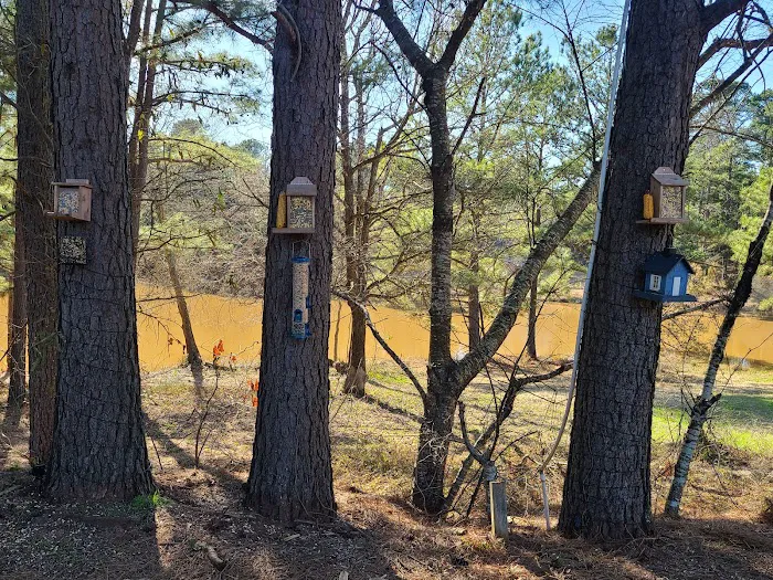 Country Pines RV Park Picture 9