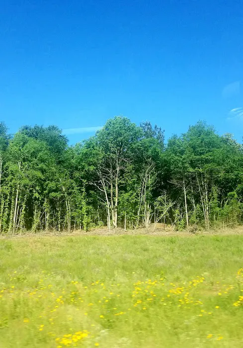 Country Pines RV Park Picture 10