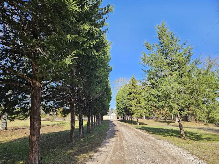 Danville Mobile Home Park Picture 5