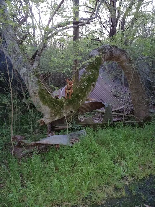 TA RV Park Picture 10