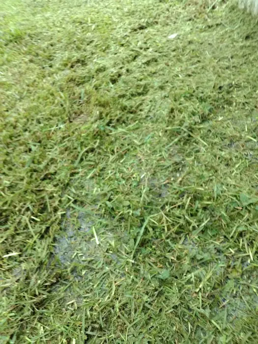 Bayou Mobile Estates Picture 4