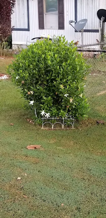 Pine Hill Mobile Home & RV Park Picture 2