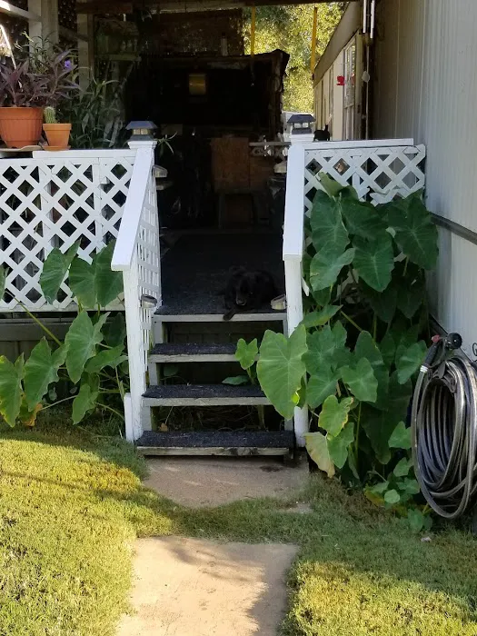 Pine Hill Mobile Home & RV Park Picture 8