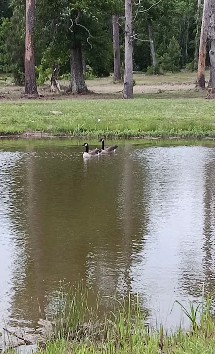 Texas Twelve RV Park Picture 2