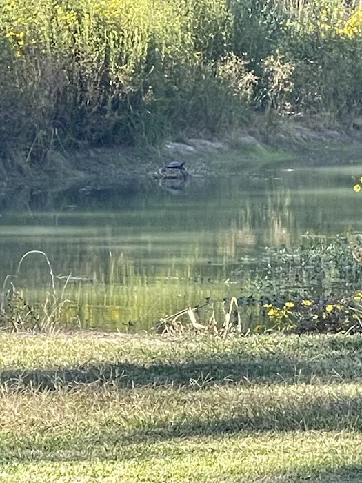 Texas Twelve RV Park Picture 5