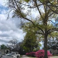 Texas Twelve RV Park ico