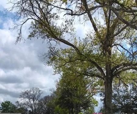 Texas Twelve RV Park