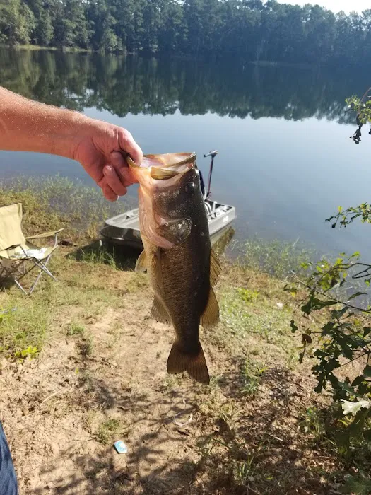 Smith Lake RV Park Picture 7