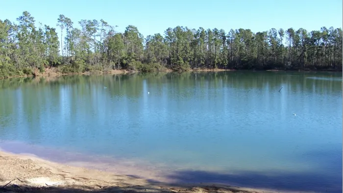 Smith Lake RV Park Picture 6