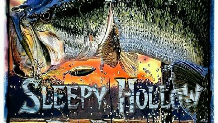 Sleepy Hollow RV Park Picture 1