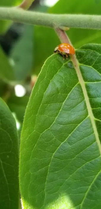 Cedar Hill Mobile Home Park Picture 7