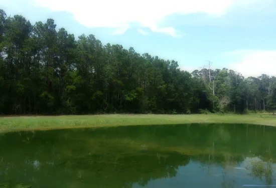 Gray's Landing RV Park, LLC Picture 2