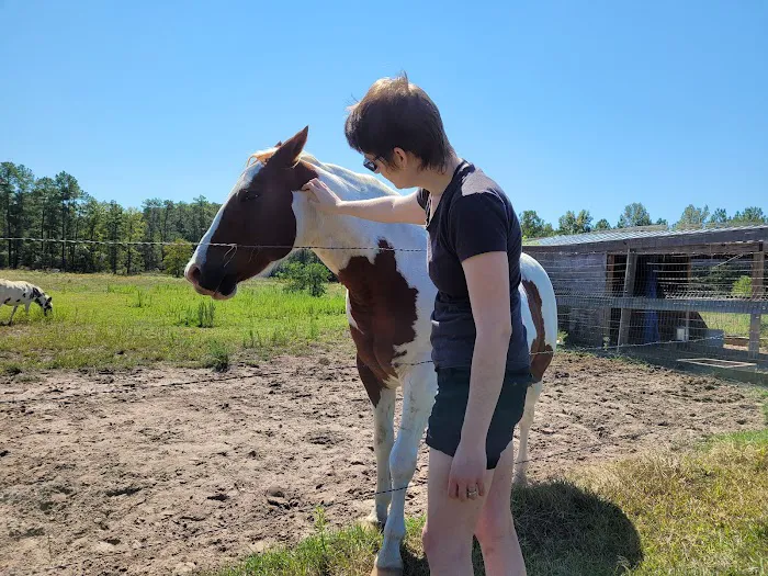 The Hilltop RV Park Picture 5