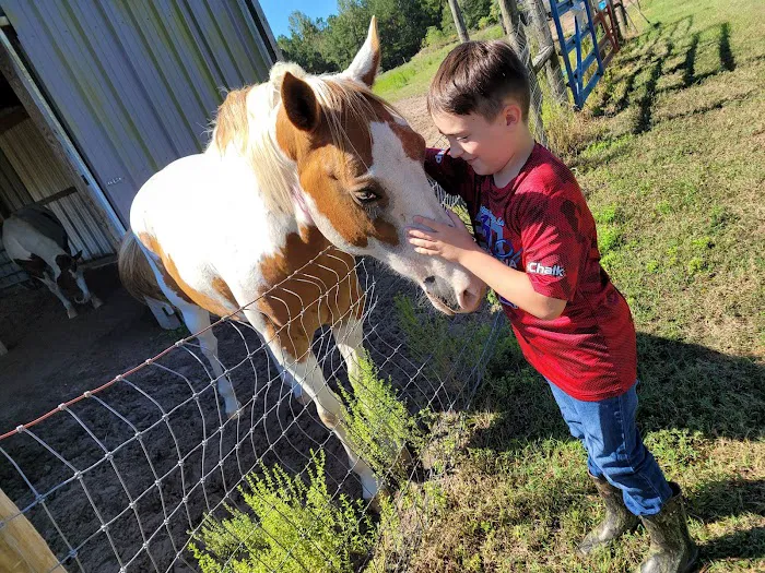 The Hilltop RV Park Picture 7